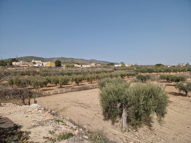 3 quarto Casa de Caverna para venda em Raspay, Yecla com piscina - 75 000 € (Ref: 7418951)