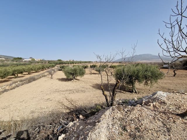 3 quarto Casa de Caverna para venda em Raspay, Yecla com piscina - 75 000 € (Ref: 7418951)