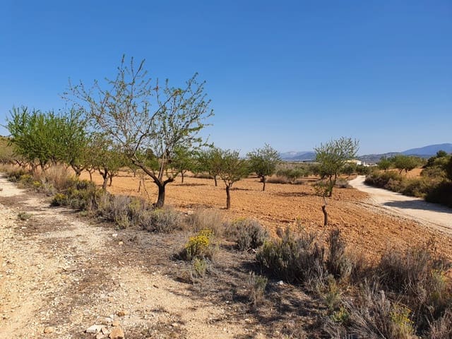 Mark till salu i Lel, Pinoso - 39 000 € (Ref: 7436036)