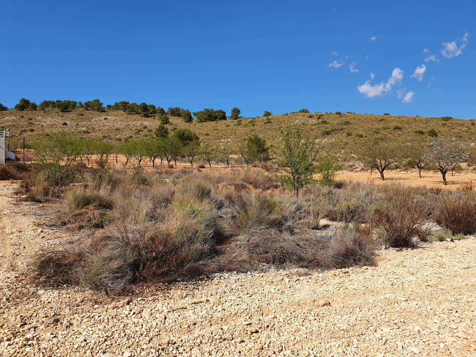 Terre non Aménagée à vendre à Lel - 39 000 € (Ref: 7436036)