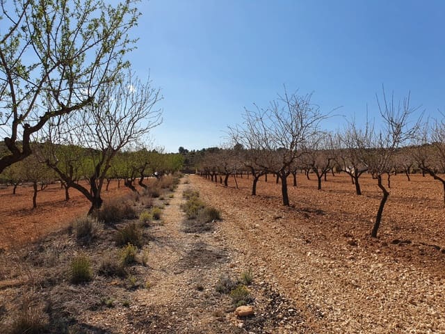 Mark till salu i Lel, Pinoso - 39 000 € (Ref: 7436036)