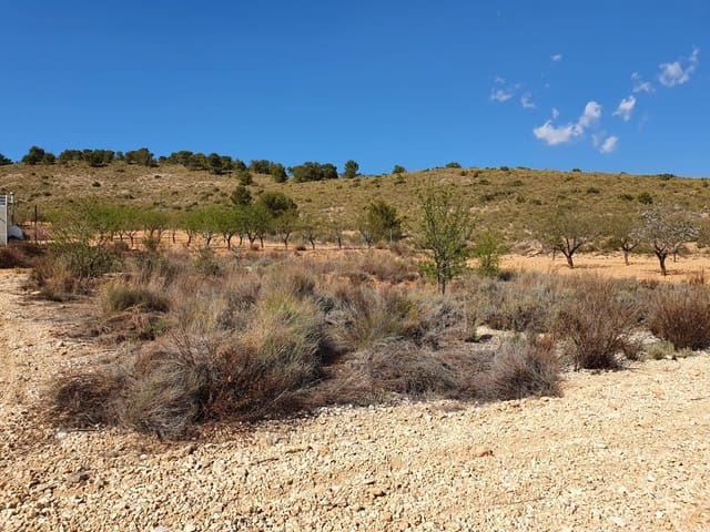 Mark till salu i Lel, Pinoso - 39 000 € (Ref: 7436036)