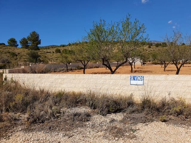 Mark till salu i Lel, Pinoso - 39 000 € (Ref: 7436036)