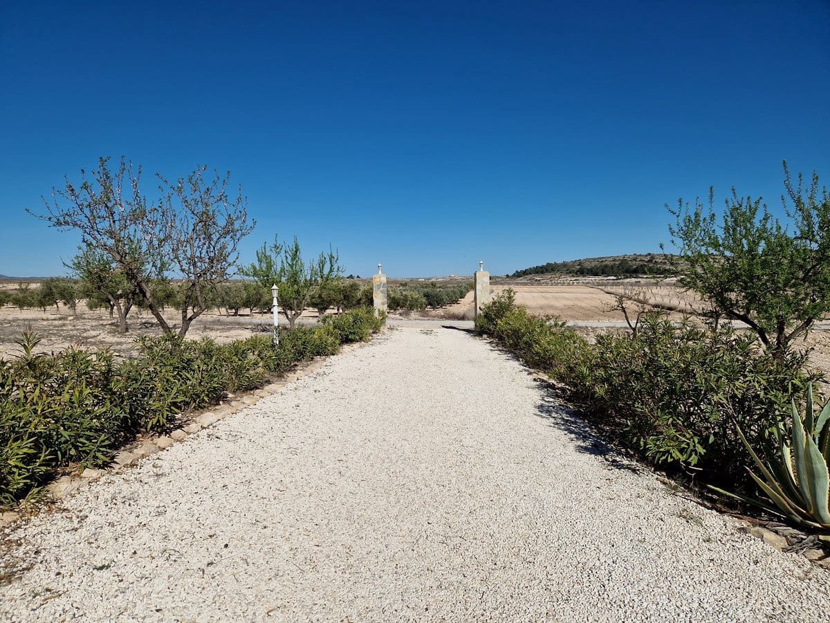 4 bedroom Villa for sale in Pinoso with pool - € 400,000 (Ref: 7460721)