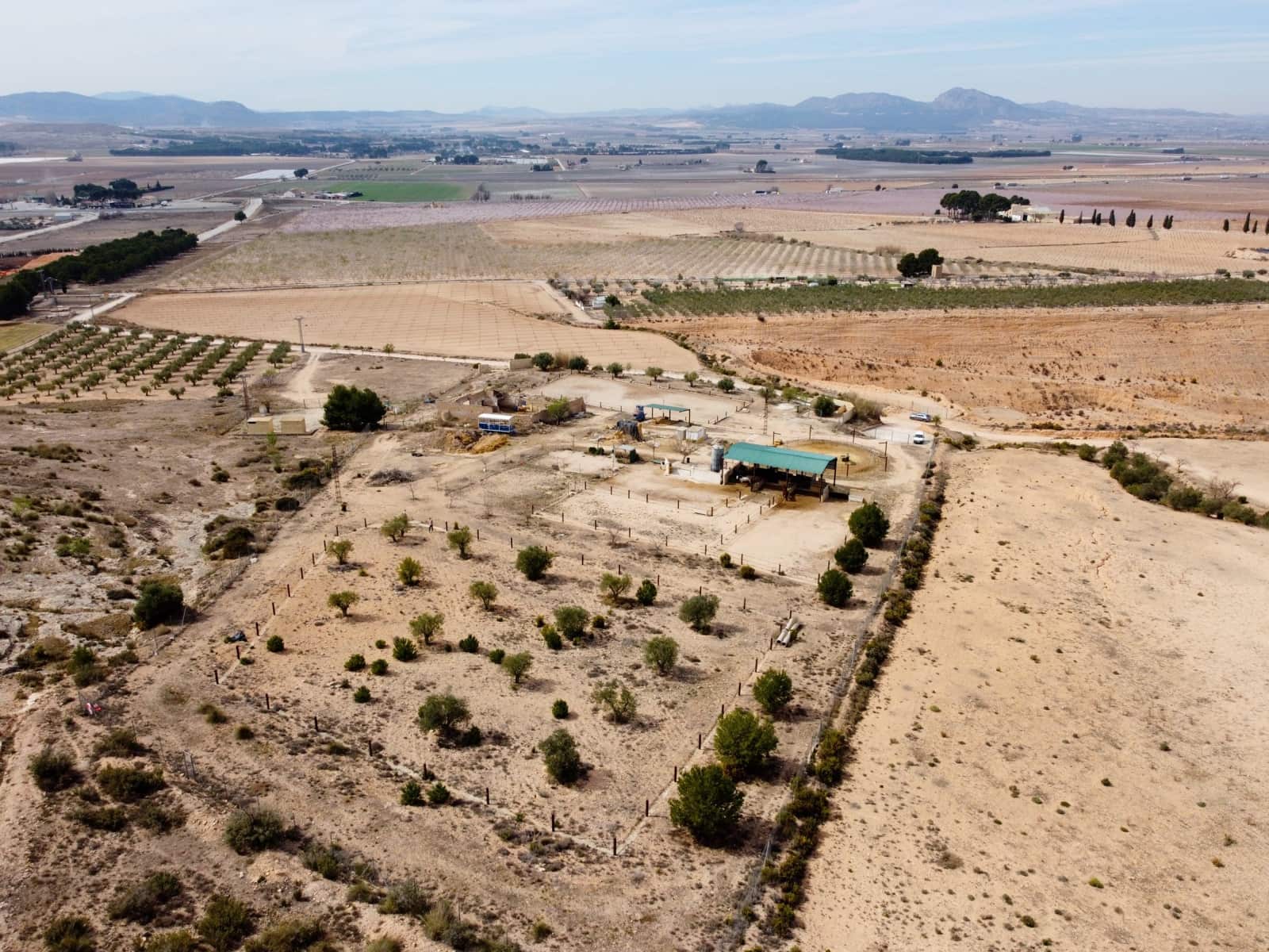 Terreno/Finca Rústica en Villena en venta - 89.995 € (Ref: 7476795)