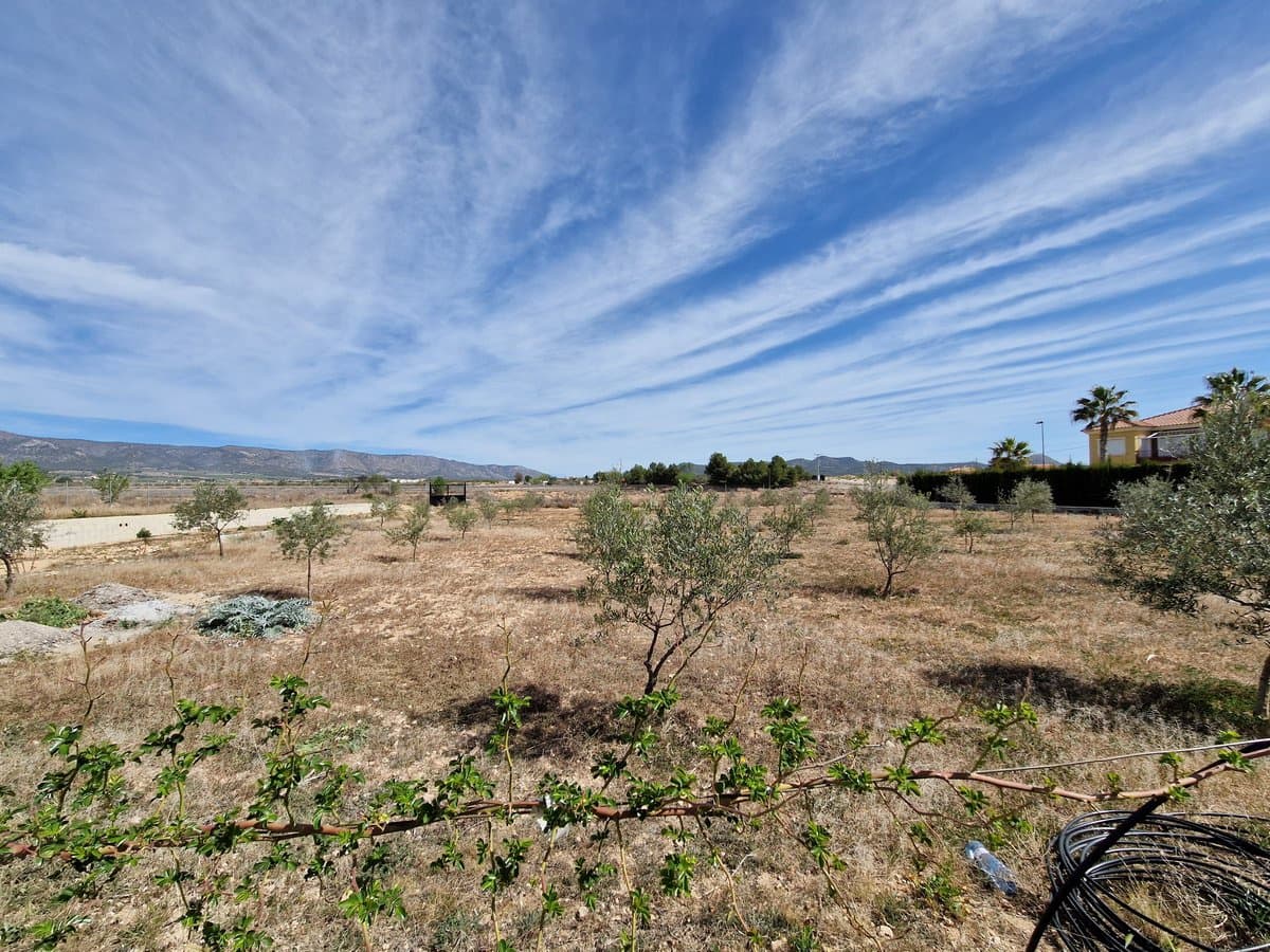 2 chambre Finca/Maison de Campagne à vendre à Ubeda avec piscine - 159 995 € (Ref: 7493650)