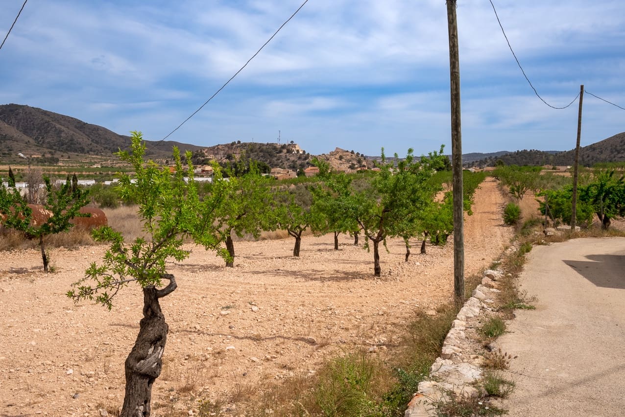 9 slaapkamer Finca/Landhuis te koop in El Canton met zwembad - € 229.995 (Ref: 7493651)