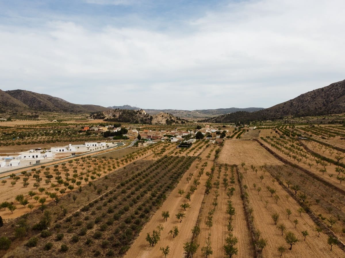 9 slaapkamer Finca/Landhuis te koop in El Canton met zwembad - € 229.995 (Ref: 7493651)