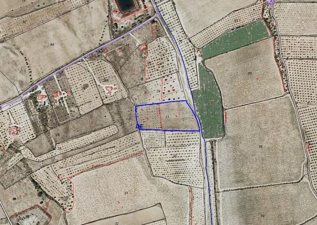 Mark till salu i Ubeda, Pinoso - 29 900 € (Ref: 7500872)