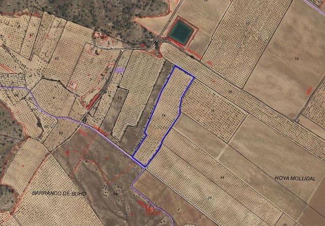 Mark till salu i Pinoso - 56 000 € (Ref: 7504659)