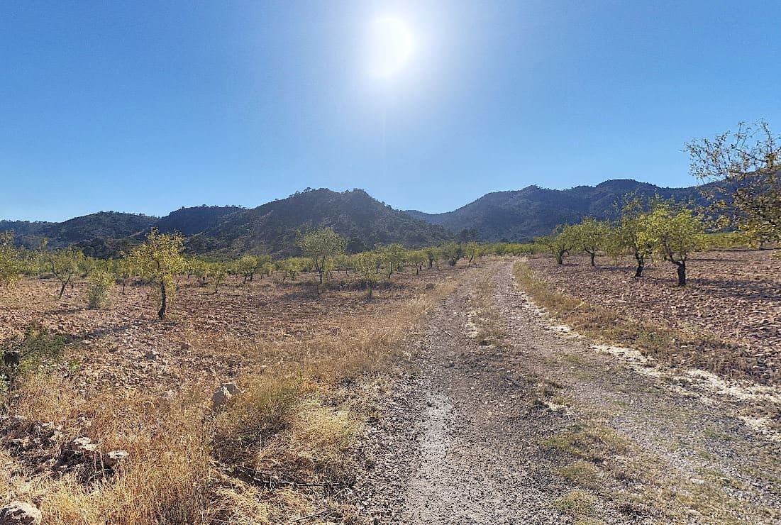 Ubebygd land til salgs i Pinoso - € 56 000 (Ref: 7504659)