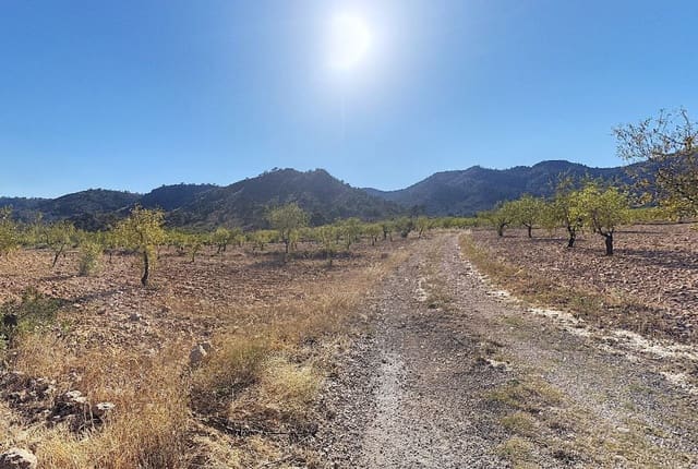 Grond te koop in Pinoso - € 56.000 (Ref: 7504659)