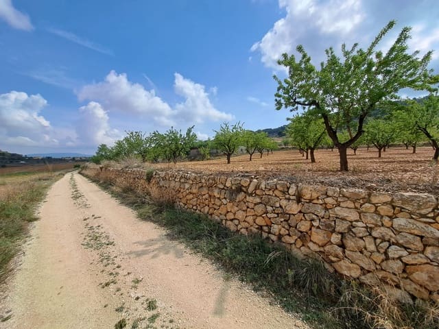 Mark till salu i Pinoso - 45 000 € (Ref: 7586750)