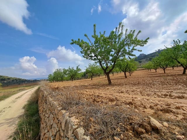 Mark till salu i Pinoso - 45 000 € (Ref: 7586750)