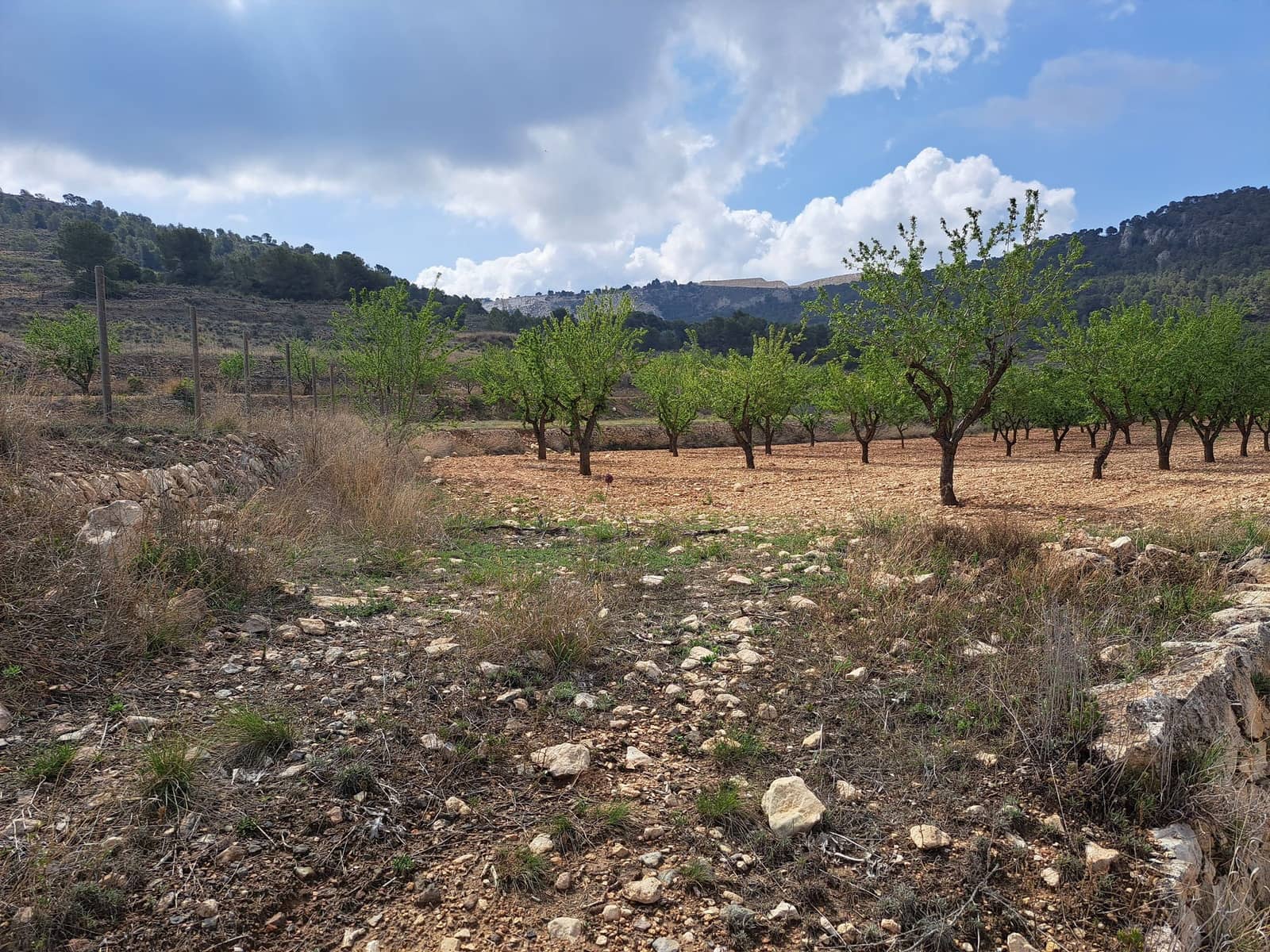 Grunde uden byggetilladelser til salg i Pinoso - € 45.000 (Ref: 7586750)