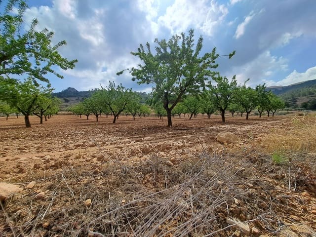 Mark till salu i Pinoso - 45 000 € (Ref: 7586750)