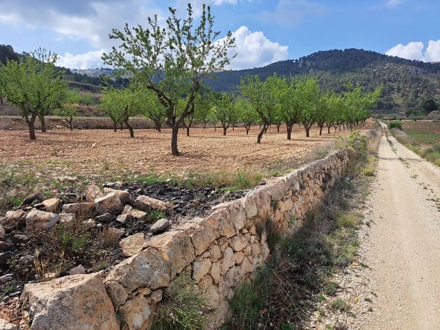 Mark till salu i Pinoso - 45 000 € (Ref: 7586750)