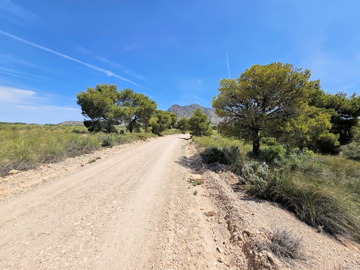 4 bedroom Finca/Country House for sale in Jumilla with pool - € 315,000 (Ref: 7668835)