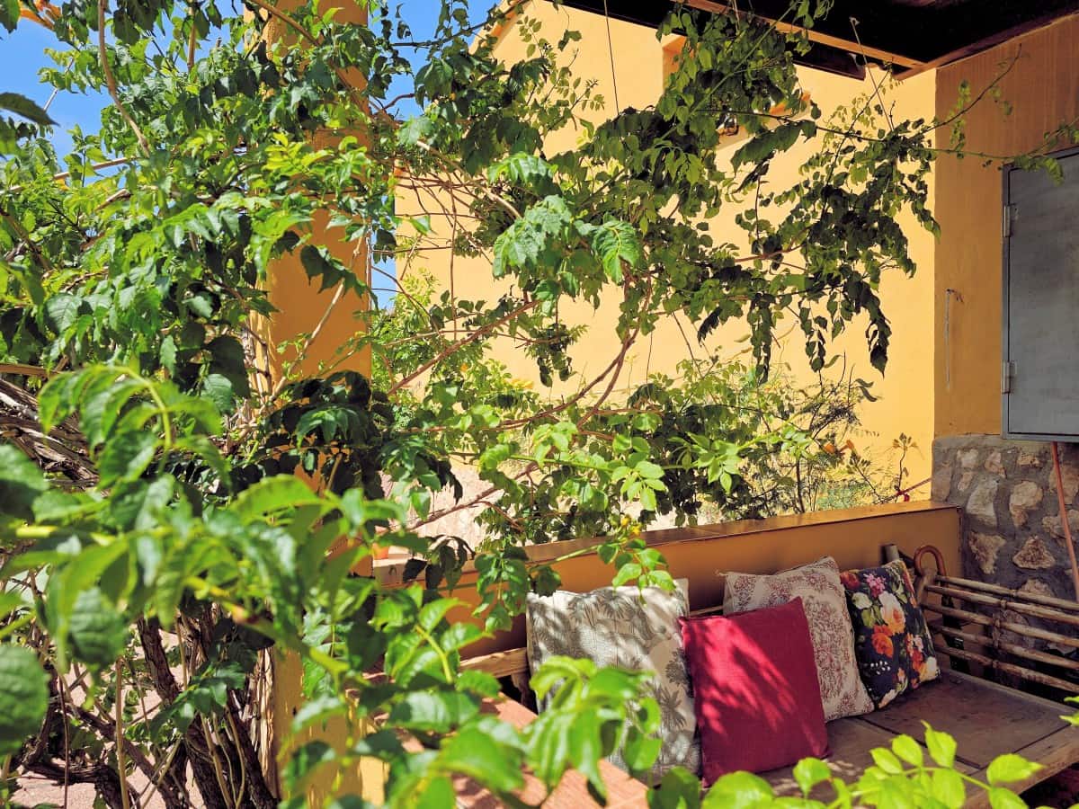 4 bedroom Finca/Country House for sale in Jumilla with pool - € 315,000 (Ref: 7668835)