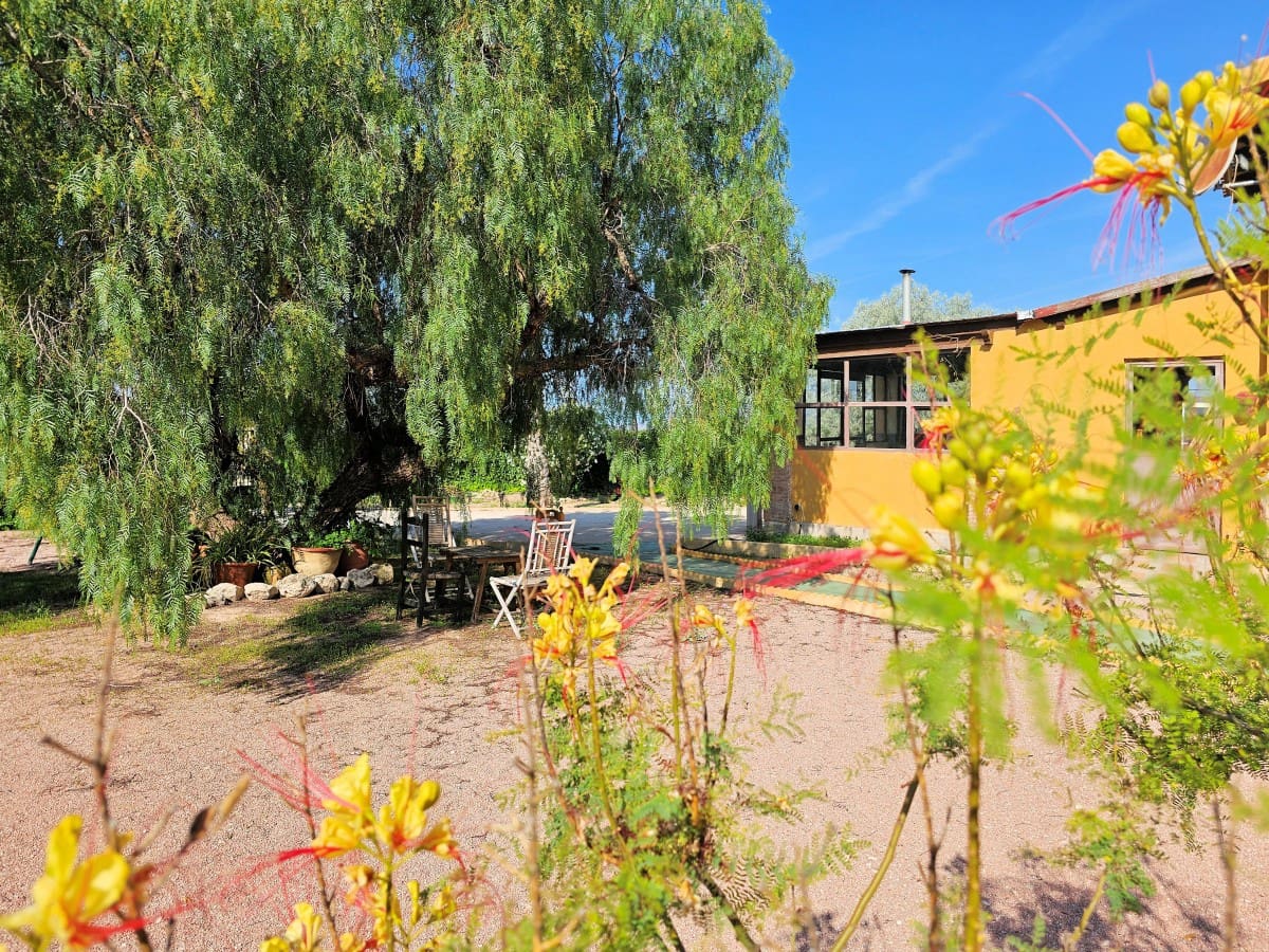 4 bedroom Finca/Country House for sale in Jumilla with pool - € 315,000 (Ref: 7668835)