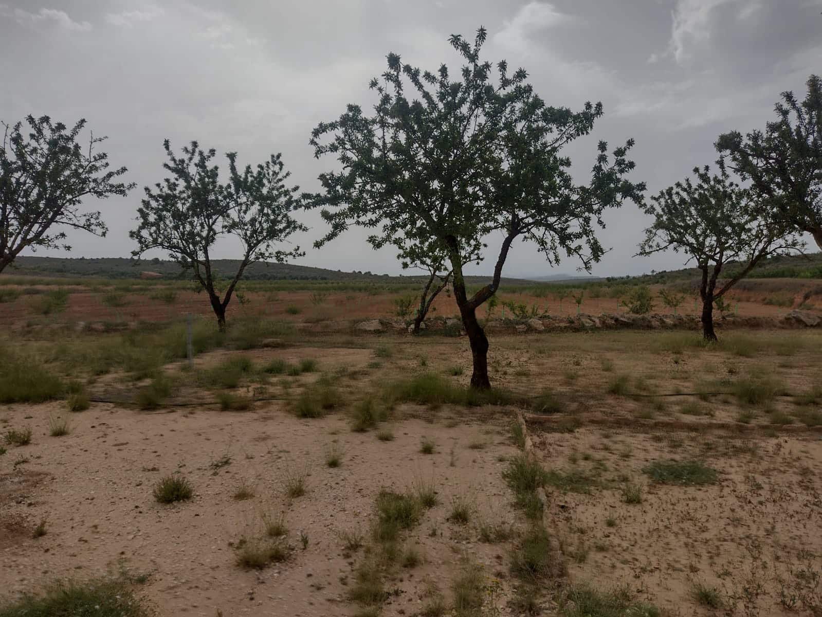 Grond te koop in Pinoso - € 8.000 (Ref: 7696502)