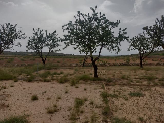 Grond te koop in Pinoso - € 8.000 (Ref: 7696502)