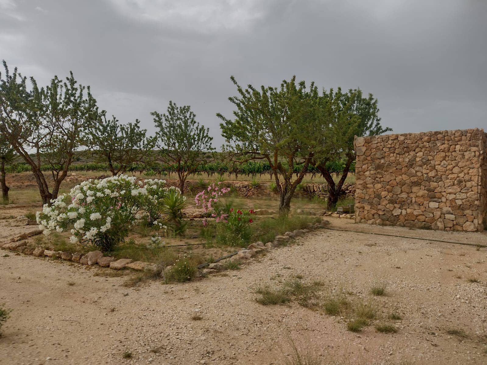 Grond te koop in Pinoso - € 8.000 (Ref: 7696502)