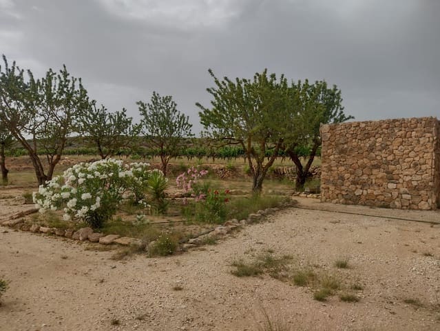 Grond te koop in Pinoso - € 8.000 (Ref: 7696502)