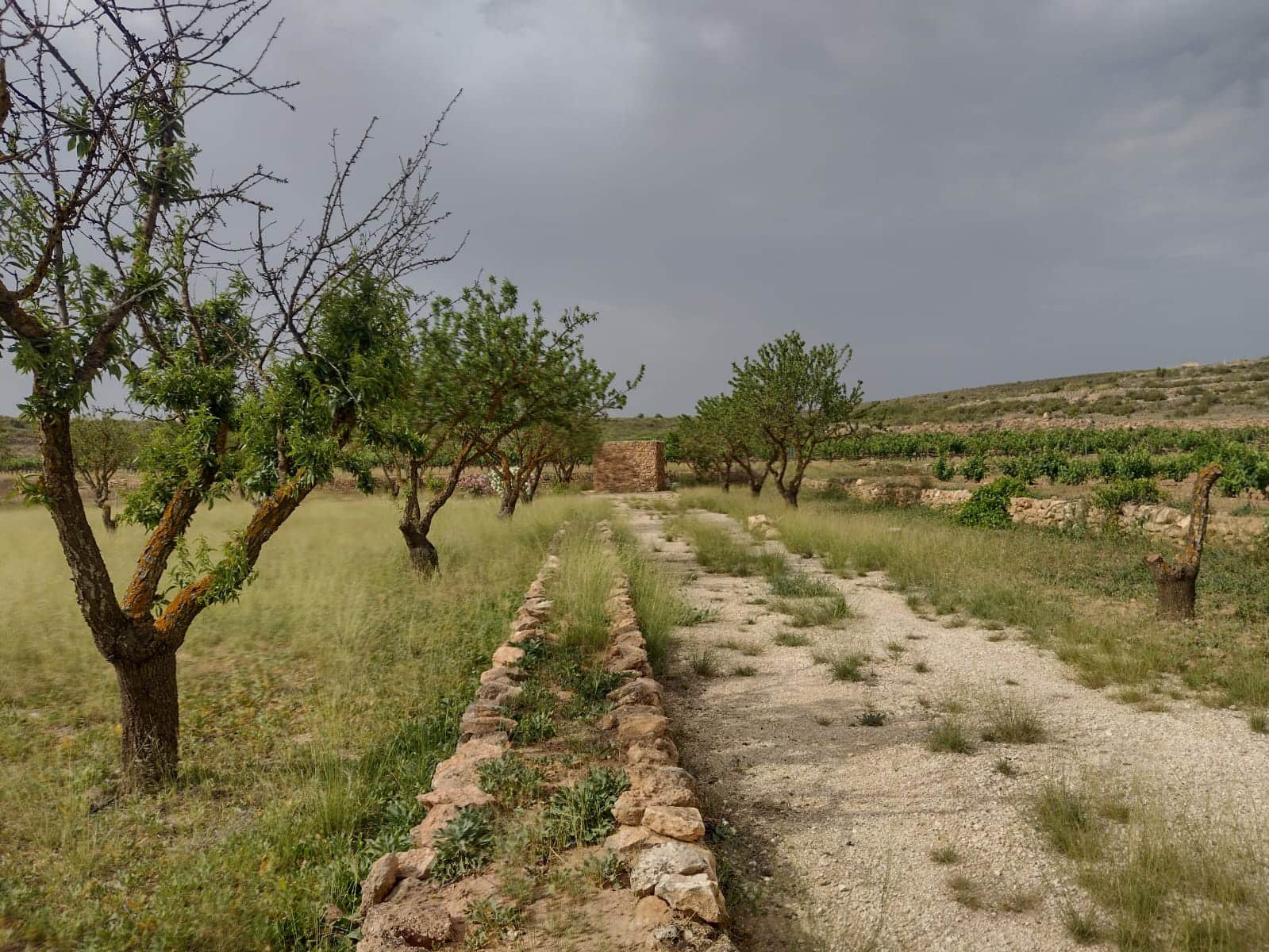 Grond te koop in Pinoso - € 8.000 (Ref: 7696502)