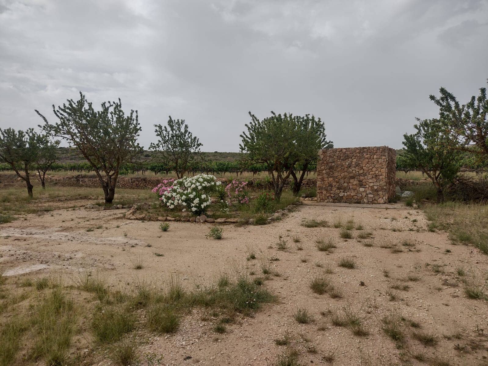 Grond te koop in Pinoso - € 8.000 (Ref: 7696502)