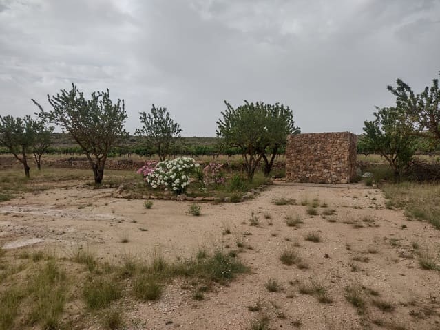 Grond te koop in Pinoso - € 8.000 (Ref: 7696502)