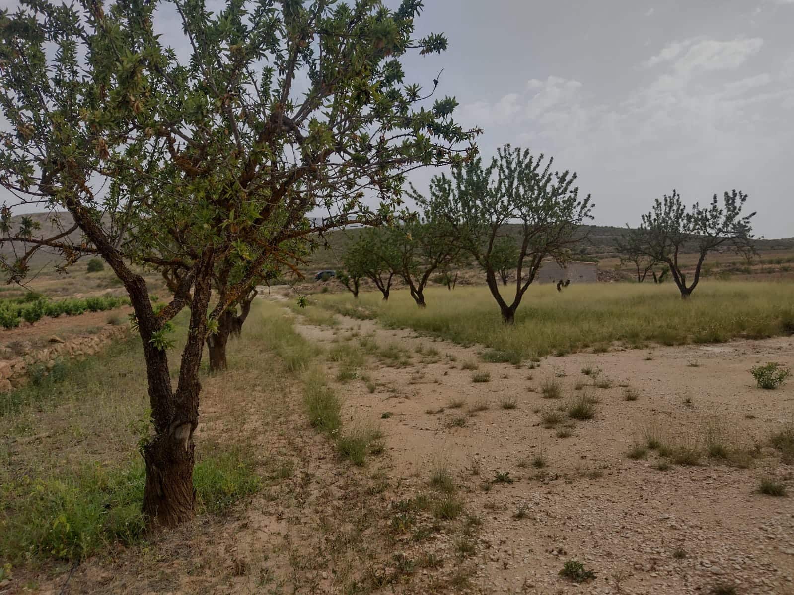 Grond te koop in Pinoso - € 8.000 (Ref: 7696502)