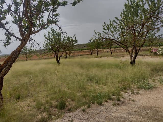 Grond te koop in Pinoso - € 8.000 (Ref: 7696502)