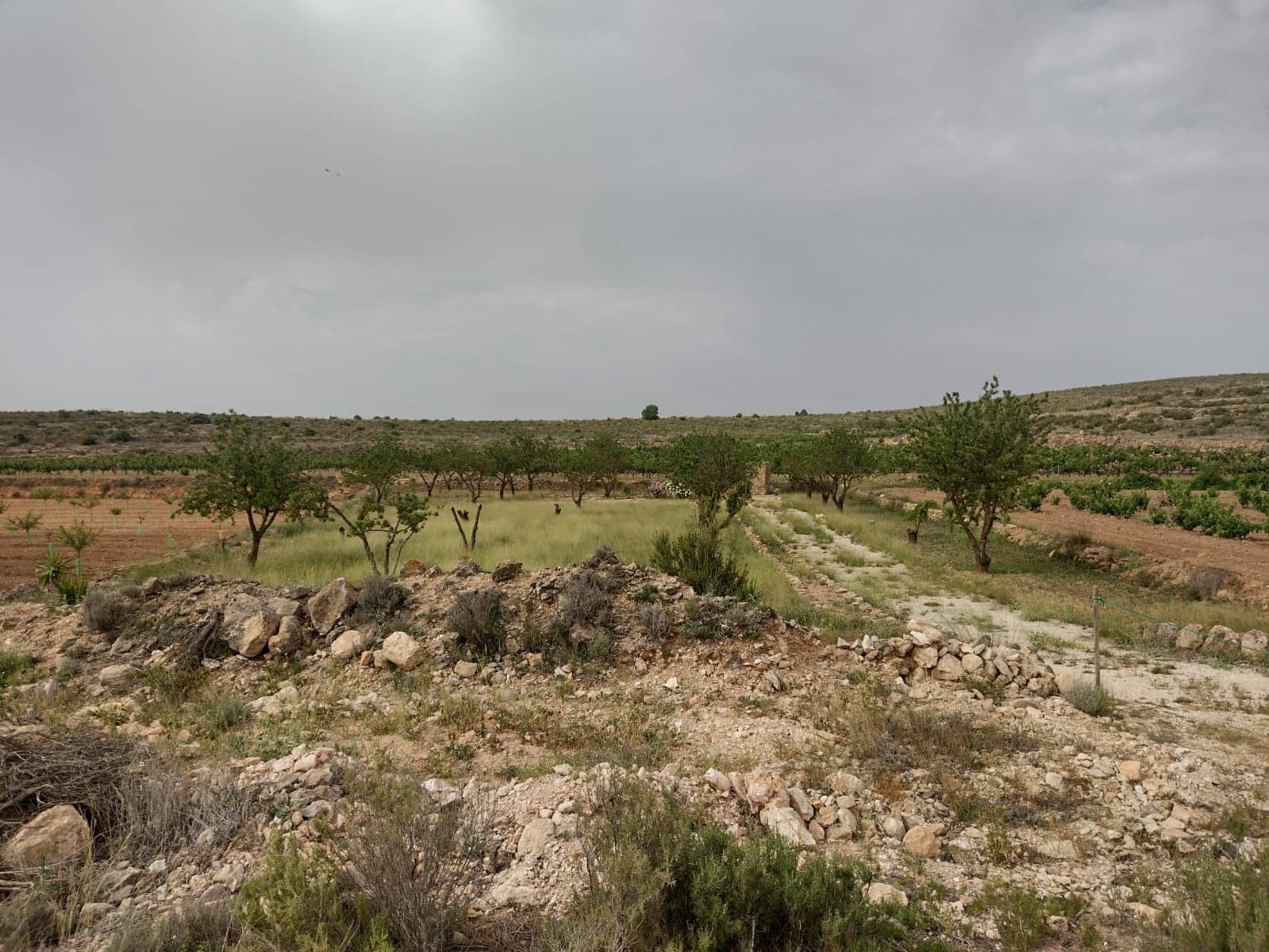 Grond te koop in Pinoso - € 8.000 (Ref: 7696502)