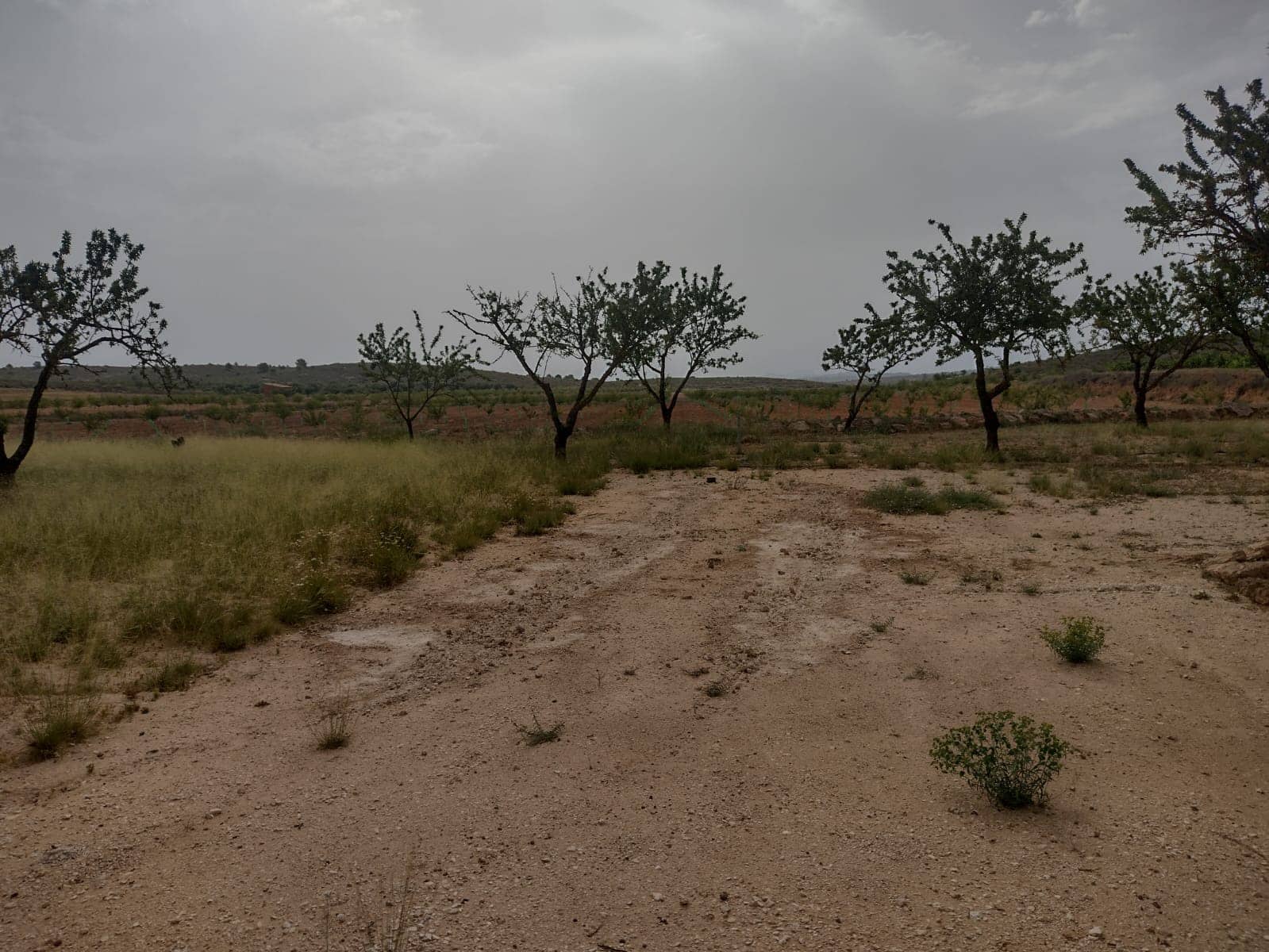 Grond te koop in Pinoso - € 8.000 (Ref: 7696502)