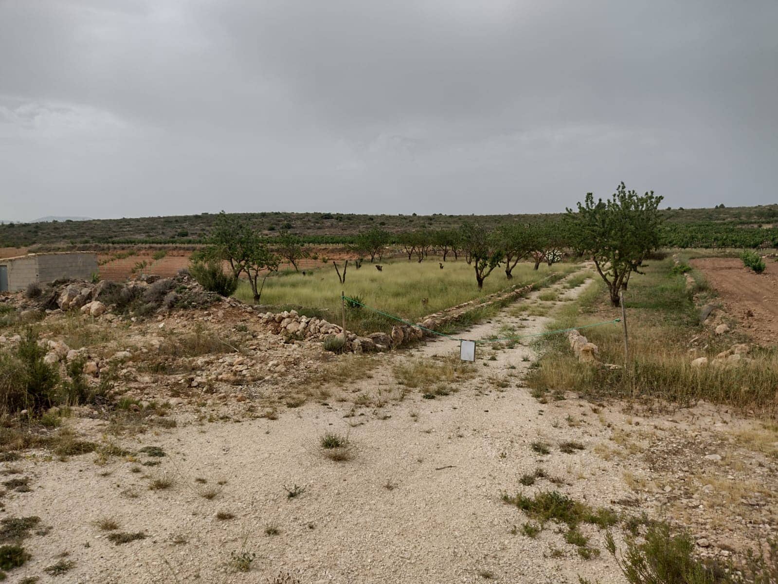 Grond te koop in Pinoso - € 8.000 (Ref: 7696502)