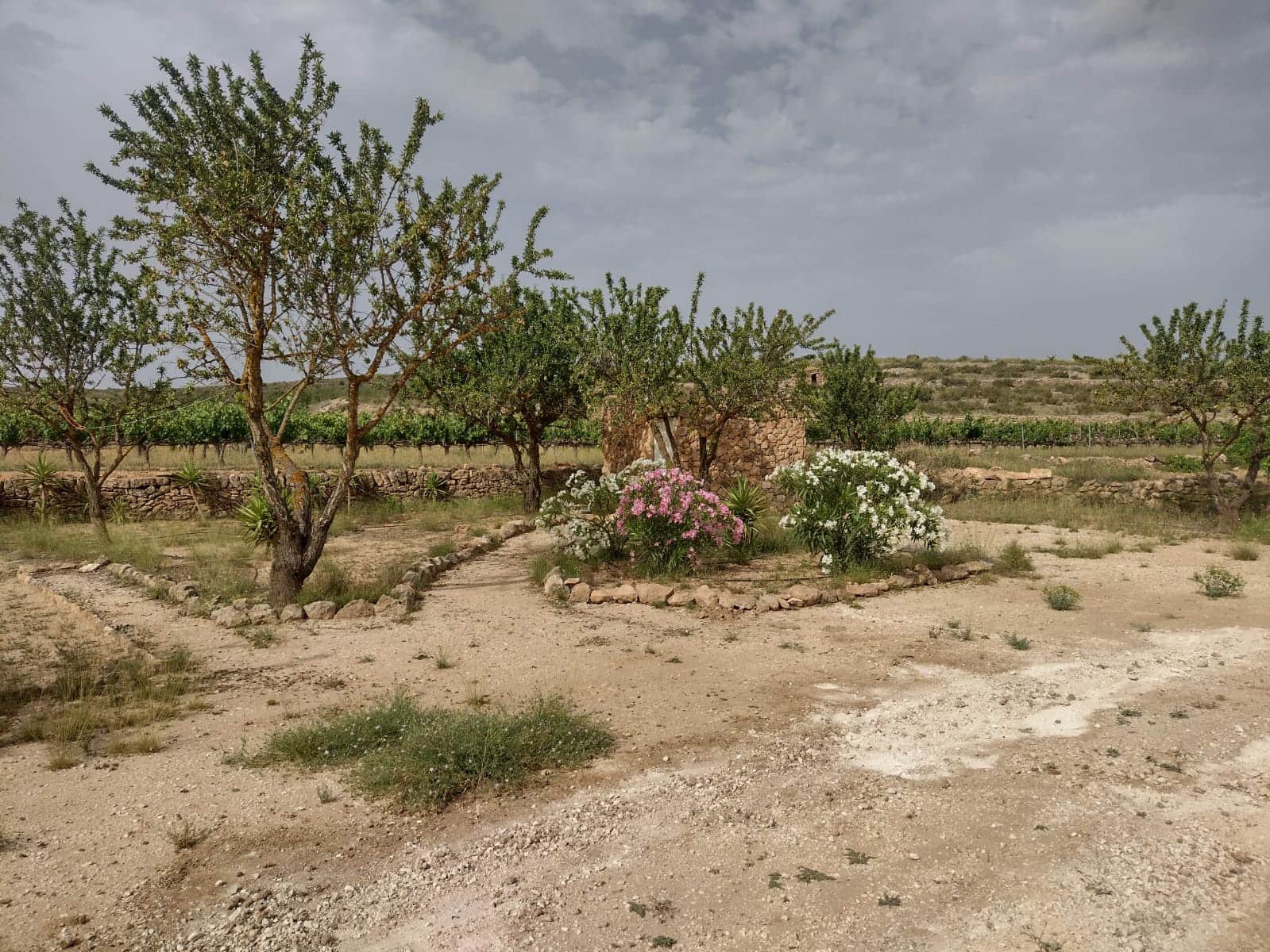 Grond te koop in Pinoso - € 8.000 (Ref: 7696502)