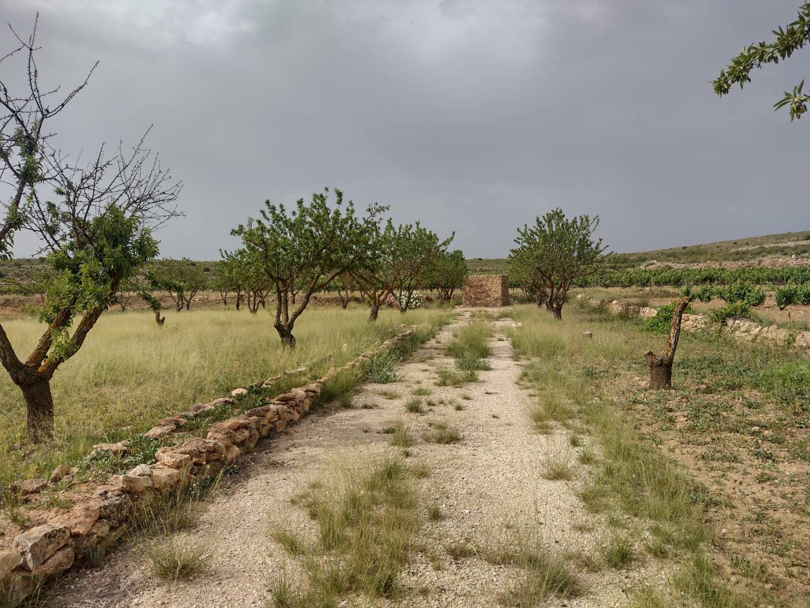 Grond te koop in Pinoso - € 8.000 (Ref: 7696502)