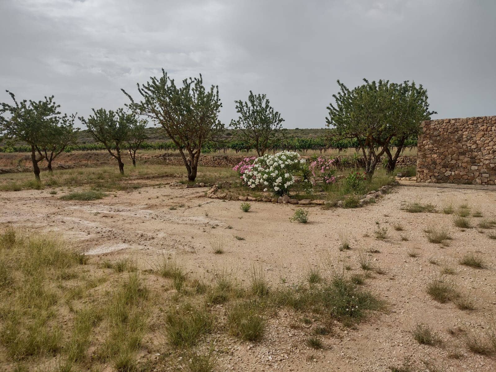 Grond te koop in Pinoso - € 8.000 (Ref: 7696502)