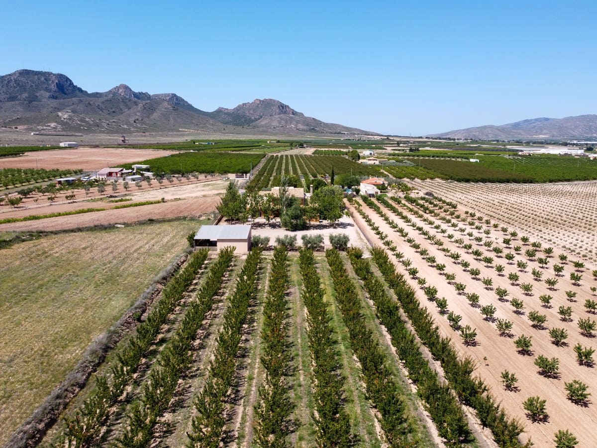 7 camera da letto Villa in vendita in Jumilla con piscina - 550.000 € (Rif: 7701927)