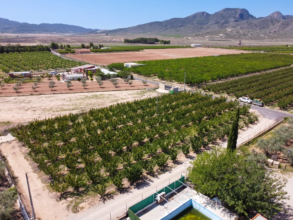 7 camera da letto Villa in vendita in Jumilla con piscina - 550.000 € (Rif: 7701927)