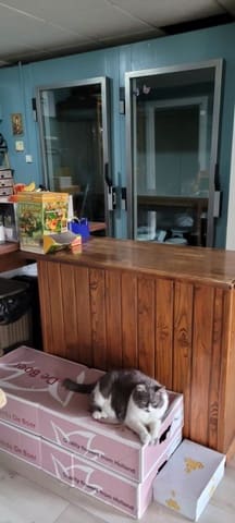 3 chambre Maison de Ville à vendre à Pinoso avec piscine - 125 000 € (Ref: 7763199)