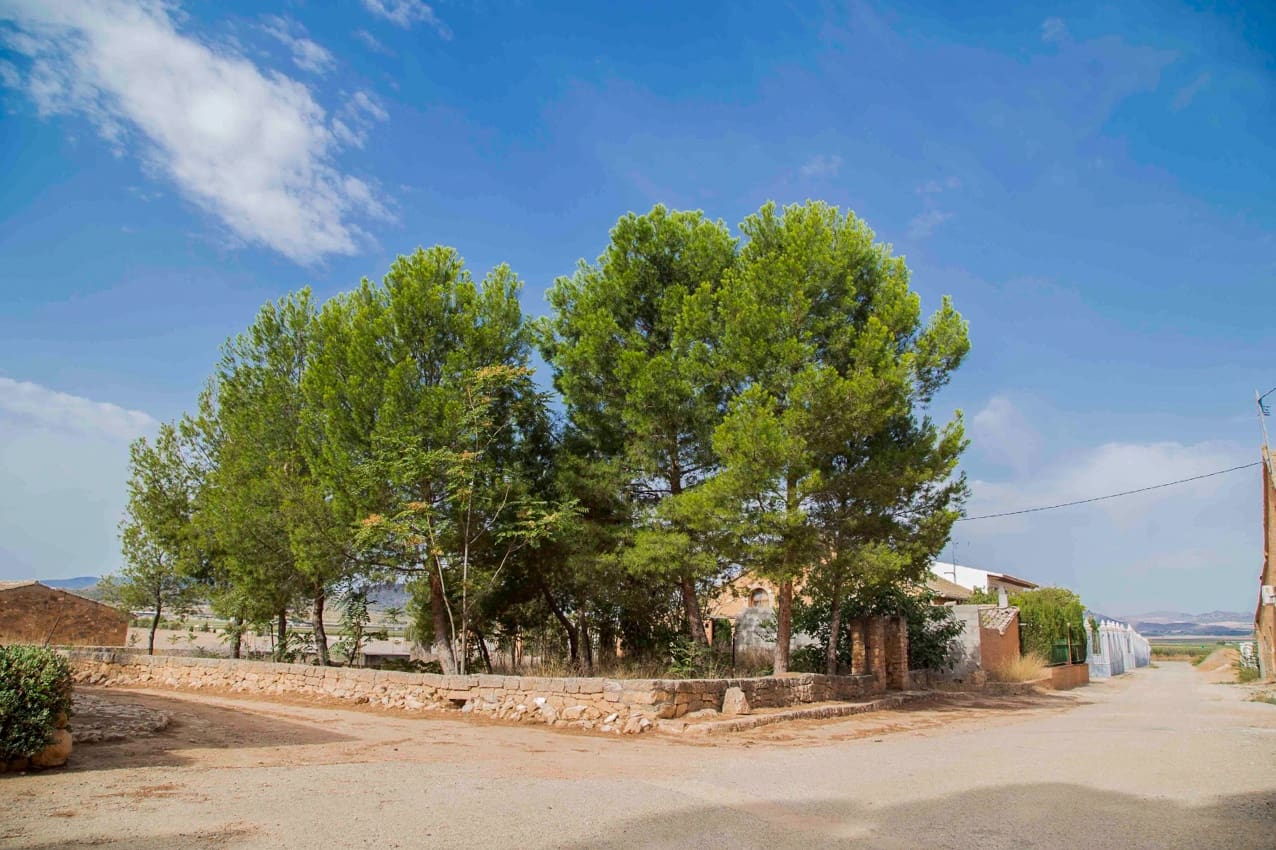 4 sypialnia Finka/Dom wiejski na sprzedaż w Yecla z basenem - 175 000 € (Ref: 7849926)