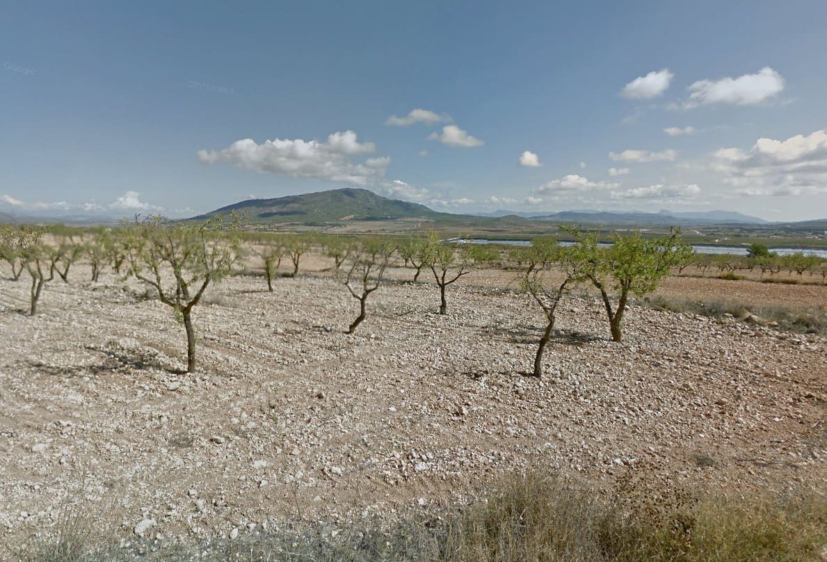 Mark till salu i Raspay - 26 000 € (Ref: 7905210)