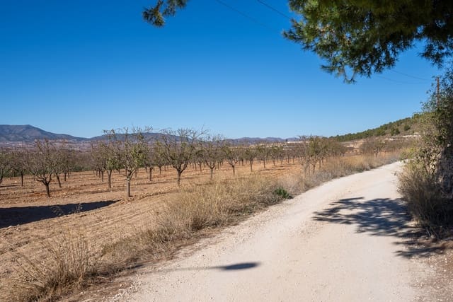 4 bedroom Finca/Country House for sale in Encebras, Pinoso with pool - € 70,000 (Ref: 7929043)