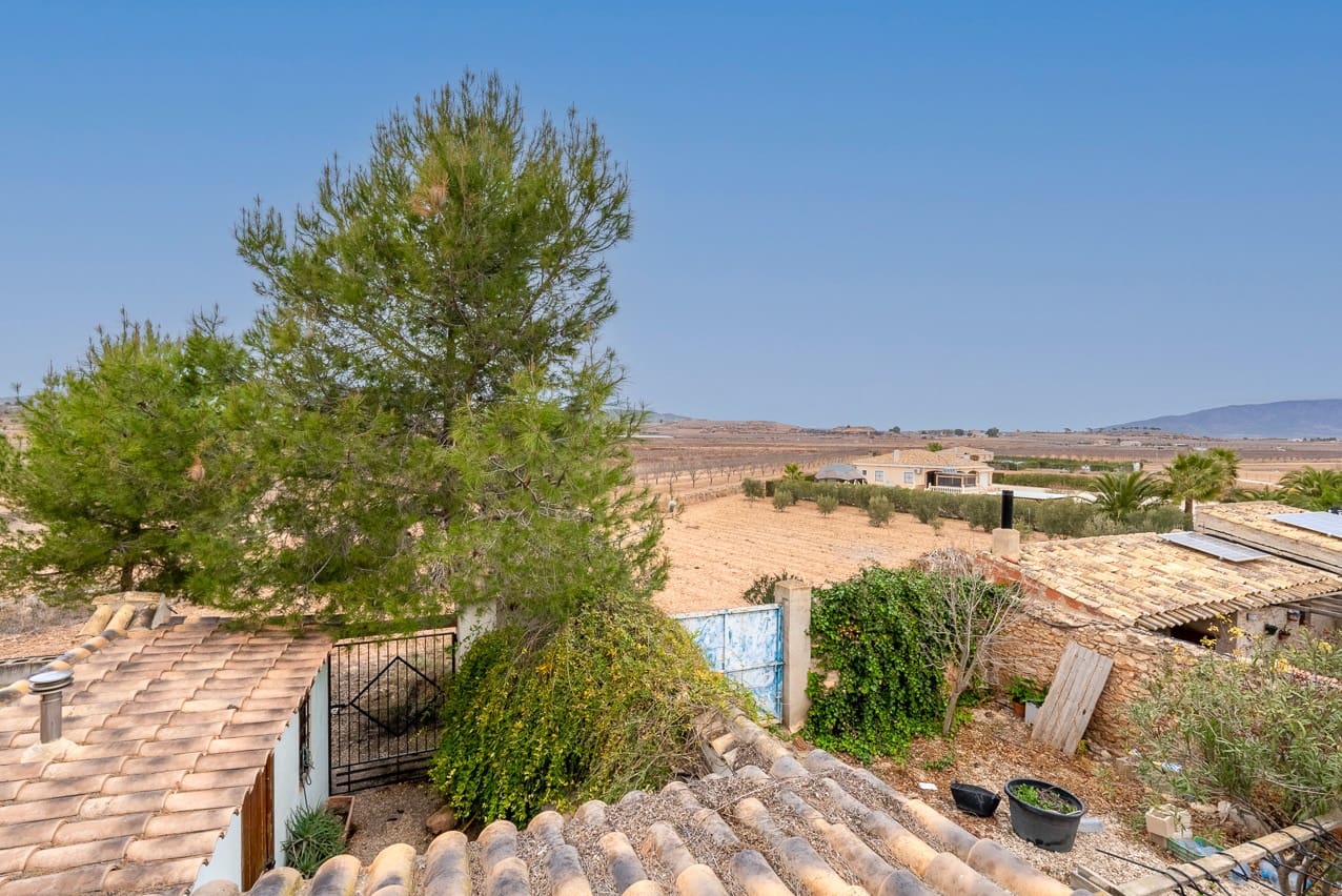 3 soveværelse Finca/Landehus til salg i Pinoso med swimmingpool - € 149.000 (Ref: 8012855)