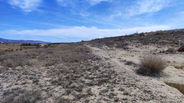 Undeveloped Land for sale in Pinoso - € 41,000 (Ref: 8048397)