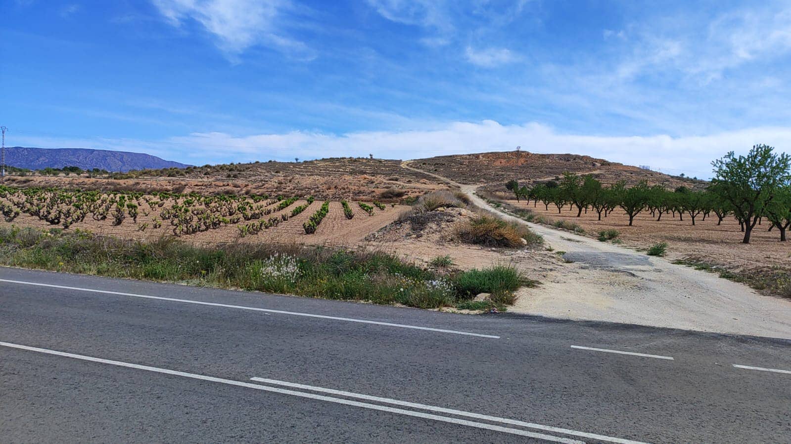 Mark till salu i Pinoso - 41 000 € (Ref: 8048397)