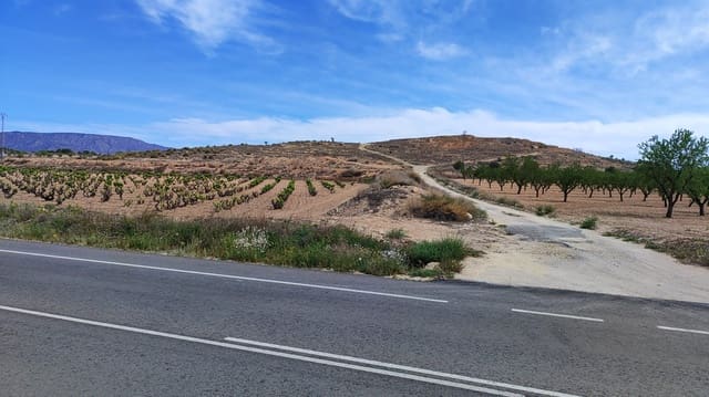 Landgrundstück zu verkaufen in Pinoso - 41.000 € (Ref: 8048397)