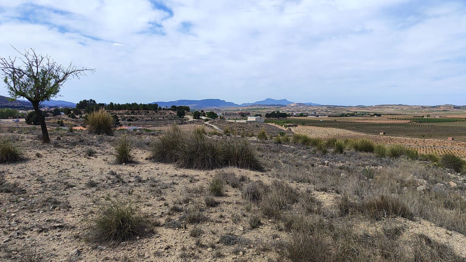 Mark till salu i Pinoso - 41 000 € (Ref: 8048397)